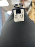 Crystal Horseshoe Post Earrings