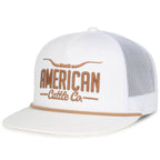 Longhorn Hat