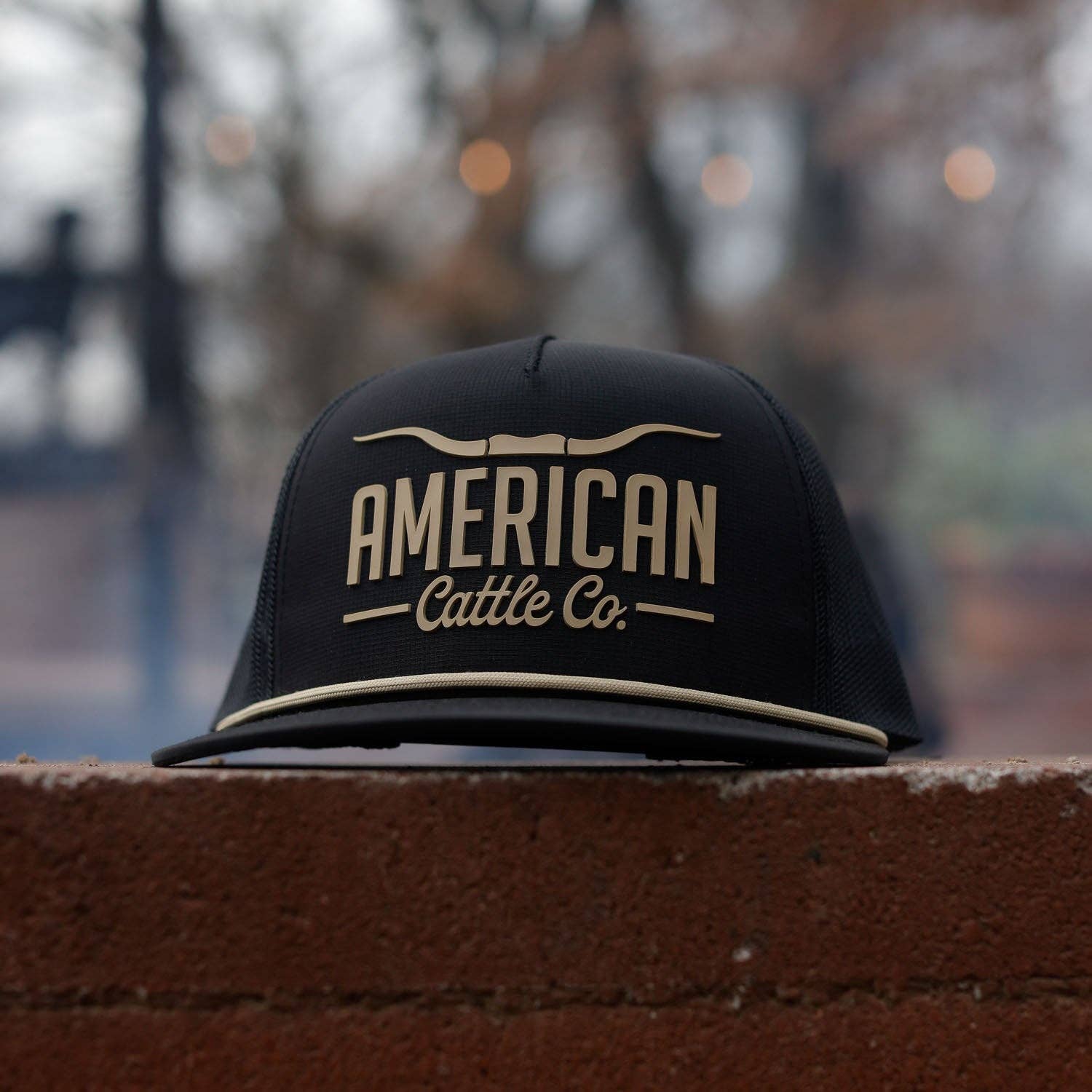 Longhorn Hat