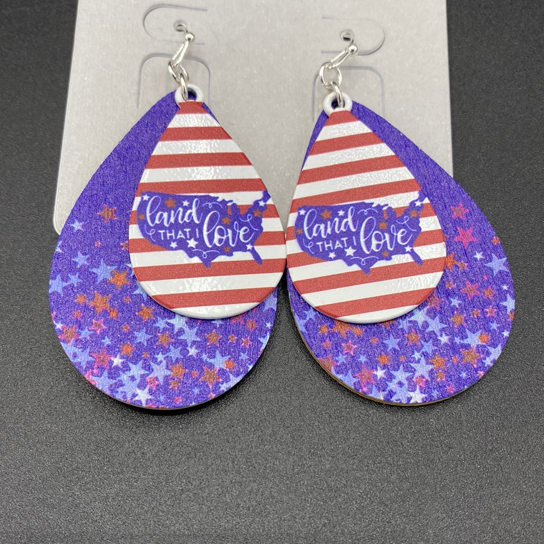 Land of the Free Fishhook Earrings