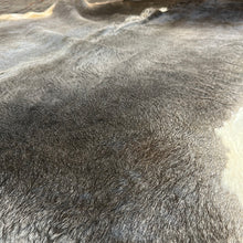 Load image into Gallery viewer, Cowhide #21 Grey Brindle Cowhide
